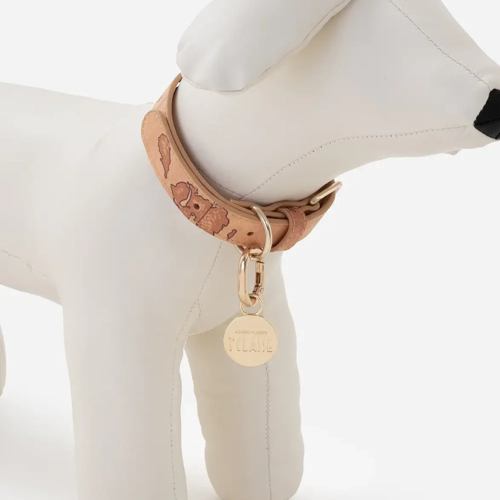 COLLARE PER CANI GEO CLASSIC
